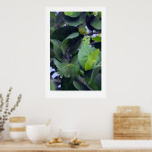 Schitterende bladeren poster (Keuken)