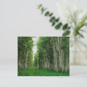 Schitterende boomstructuurcanvas afdrukken briefkaart (Staand voorkant)