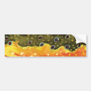 Schitterende Brook Trout Fly Fishing Fisherman Ang Bumpersticker