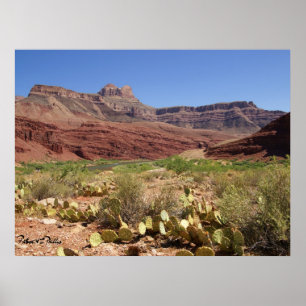 Schitterende Colorado rivier bij Grand Canyon foto Poster