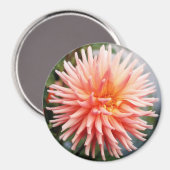 Schitterende Dahlia Bloem Magneet (Voorkant / Achterkant)
