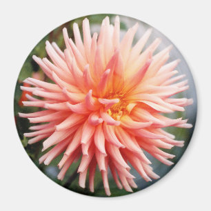 Schitterende Dahlia Bloem Magneet