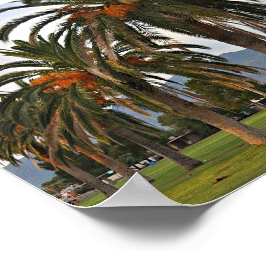 Schitterende datumbomen poster (Hoek)