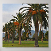 Schitterende datumbomen poster (Voorkant)