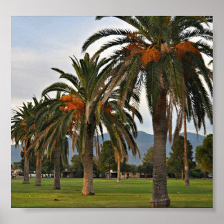 Schitterende datumbomen poster