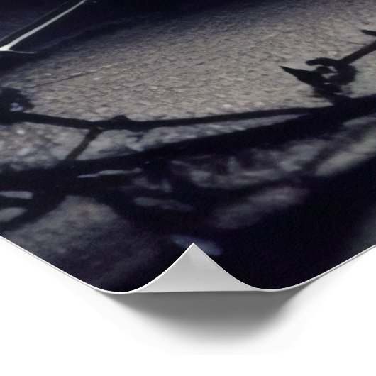 Schitterende Donkere en gotische Roos schedel Poster (Hoek)