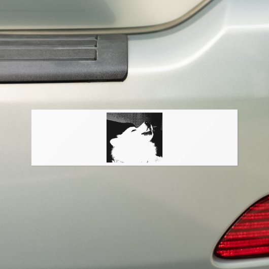 Schitterende drijfmest Witte hond Bumpersticker (Op auto)