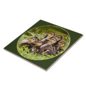 Schitterende ducklings tegeltje (Zijkant)
