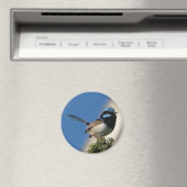 Schitterende Fairy Wren Magneet (Insitu (Vaatwasser))