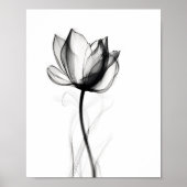 Schitterende foto-Tulp-art afdrukken Poster (Voorkant)