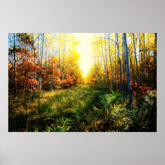 Schitterende, gekleurde landschapsafdrukken poster (Voorkant)