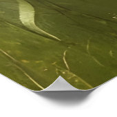 Schitterende herfstzonnebloemen boerderij poster (Hoek)