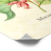 Schitterende Hummingbird Art Print (Hoek)