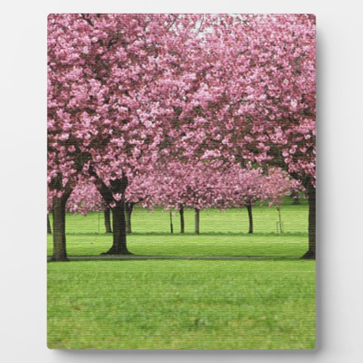 SCHITTERENDE KERS BLOEMEN FOTOPLAAT (Voorkant)