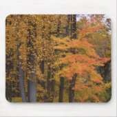 Schitterende kleuren Herfst bomen en bladeren Mous Muismat (Voorkant)