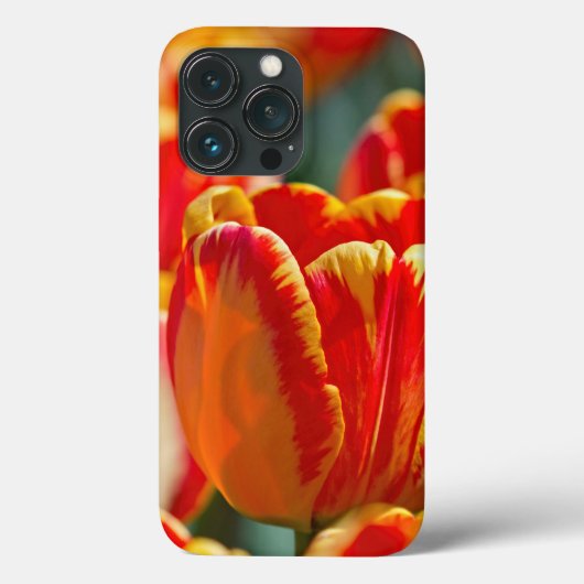 Schitterende kleuren Tulieren Case-Mate iPhone Case (Achterkant)