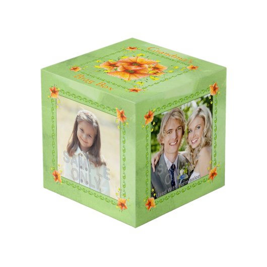 Schitterende Oranje Petunias Grandma Brag Box Kubus (Voorkant hoekig)