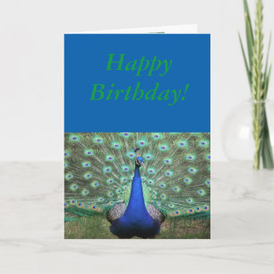 Schitterende Peacock, Birthday-kaart Kaart