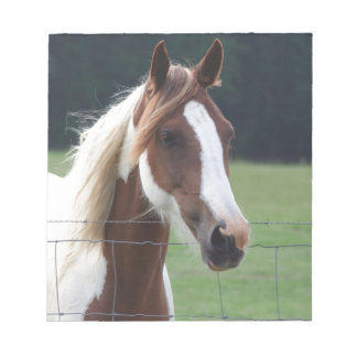 Schitterende Pinto-paard bij hek Notitieblok