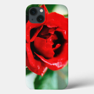 Schitterende rode roos met druppels in de ochtend Case-Mate iPhone case