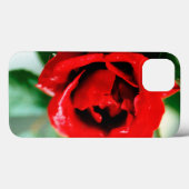 Schitterende rode roos met druppels in de ochtend Case-Mate iPhone case (Achterkant (horizontaal))