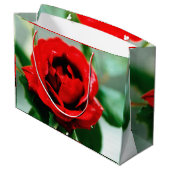 Schitterende rode roos met druppels in de ochtend groot cadeauzakje (Achterkant Gekanteld)