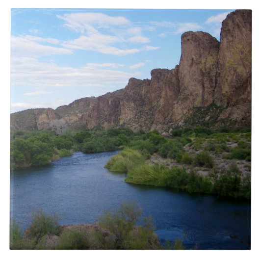 Schitterende Saguaro Lake Tegeltje (Voorkant)