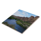 Schitterende Saguaro Lake Tegeltje (Zijkant)