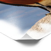 Schitterende spreeuw gezien vanaf de voorkant foto afdruk (Hoek)