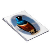 Schitterende spreeuw gezien vanaf de voorkant notitieboek (Rechterzijde)