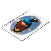 Schitterende spreeuw gezien vanaf de voorkant notitieboek (Linkerzijde)