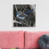 Schitterende sprookjesachtige vogel Australië Canvas Afdruk (Insitu (Woonkamer))