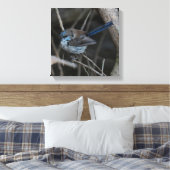 Schitterende sprookjesachtige vogel Australië Canvas Afdruk (Insitu (Slaapkamer))