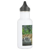 SCHITTERENDE TIJGER WATERFLES  (Links)