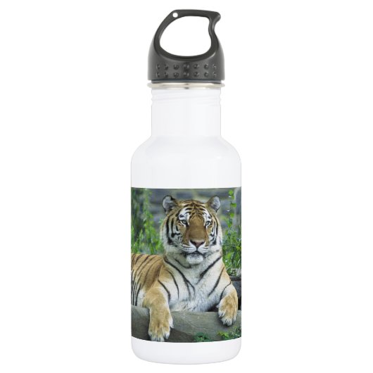 SCHITTERENDE TIJGER WATERFLES  (Voorkant)