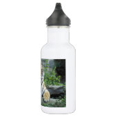 SCHITTERENDE TIJGER WATERFLES  (Rechts)
