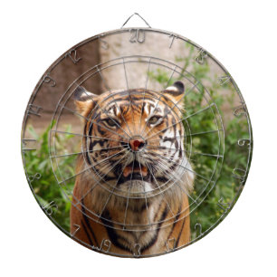 Schitterende tijgergezicht dartbord