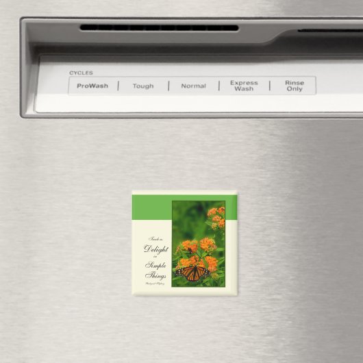 Schitterende vlinder magneet (Insitu (Vaatwasser))