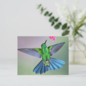 Schitterende vogel in vlucht met open vleugels briefkaart (Staand voorkant)