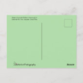 Schitterende vogel in vlucht met open vleugels briefkaart (Achterkant)