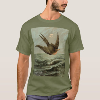 Schitterende vogel, ontwerpvariatie # 3 t-shirt