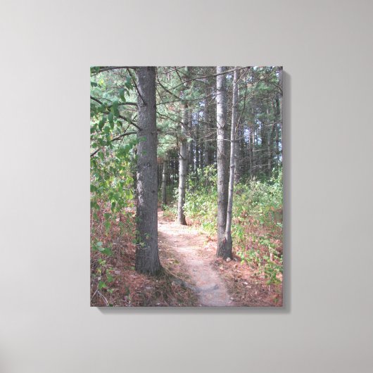 Schitterende wandelfoto-wandkunst canvas afdruk (Voorkant)