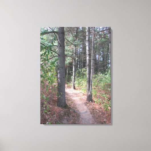 Schitterende wandelfoto-wandkunst canvas afdruk (Voorkant)