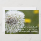 Schitterende witte dandelionzaadkop afstuderen kaart (Achterkant)