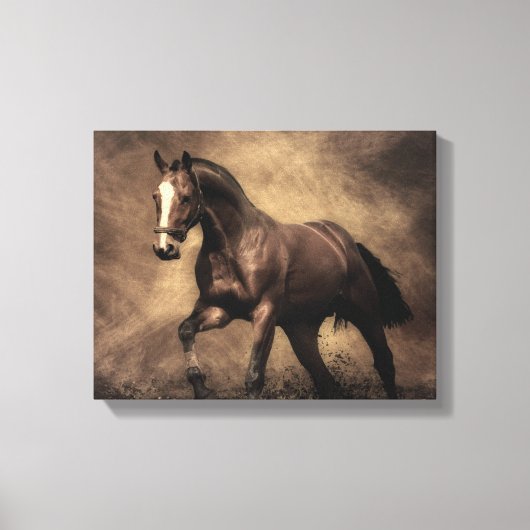 Schitterende zeepijp canvas afdruk (Voorkant)