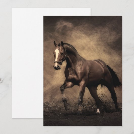 Schitterende zeepijp kaart (Voorkant / Achterkant)