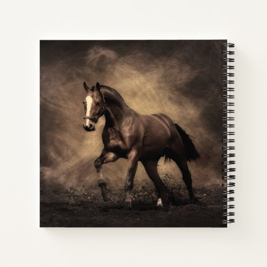 Schitterende zeepijp notitieboek (Achterkant)