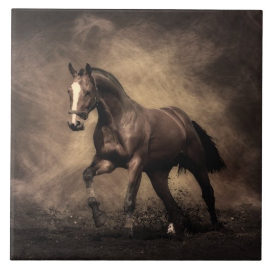 Schitterende zeepijp tegeltje (Voorkant)