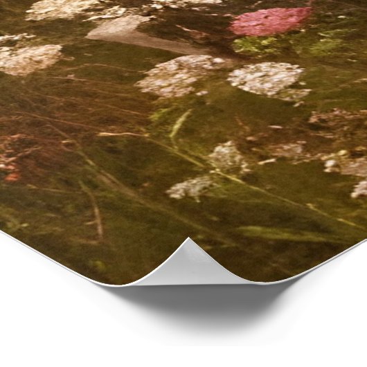 Schitterende zonnebloemen rode witte blauwe rode z poster (Hoek)