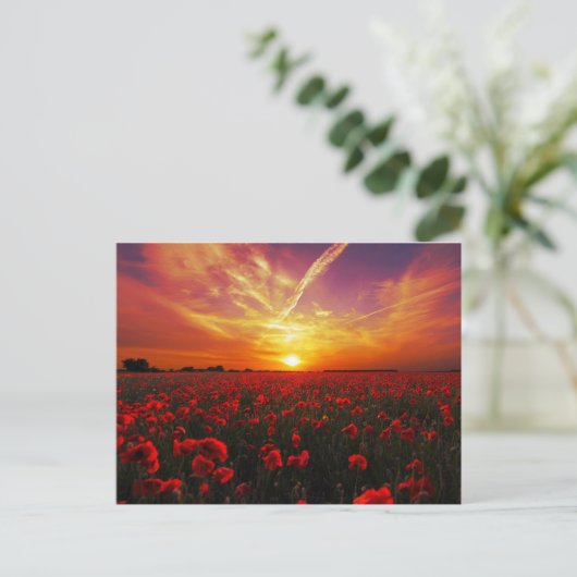 Schitterende zonsondergang op papaver briefkaart (Staand voorkant)